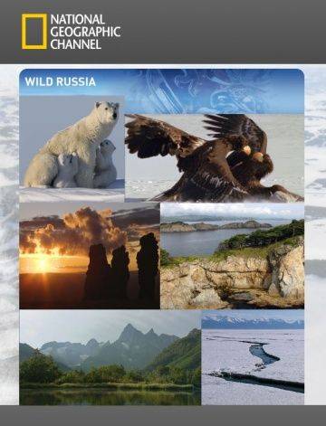 Дикая природа России / Wildes Russland (2008)