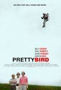 Пташка / Pretty Bird (2008)