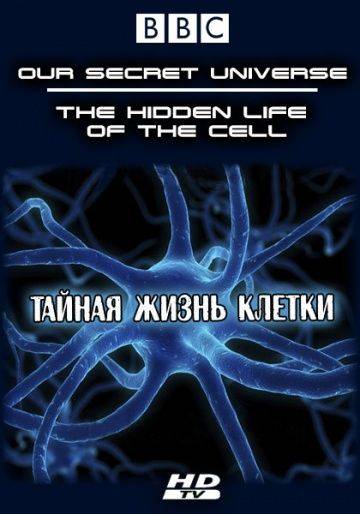 Внутренняя вселенная: Тайная жизнь клетки / Our Secret Universe: The Hidden Life of the Cell (2012)