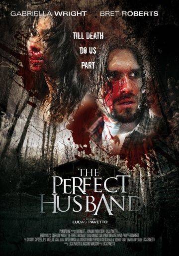 Идеальный муж / The Perfect Husband (2014)