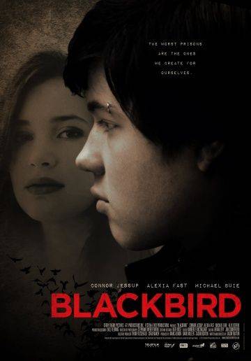 Чёрный дрозд / Blackbird (2012)