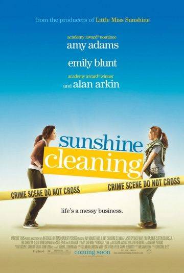 Чистка до блеска / Sunshine Cleaning (2008)